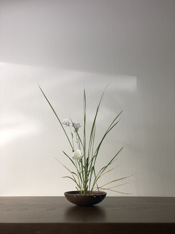 140625, paper bellflower, grass, copper bowl