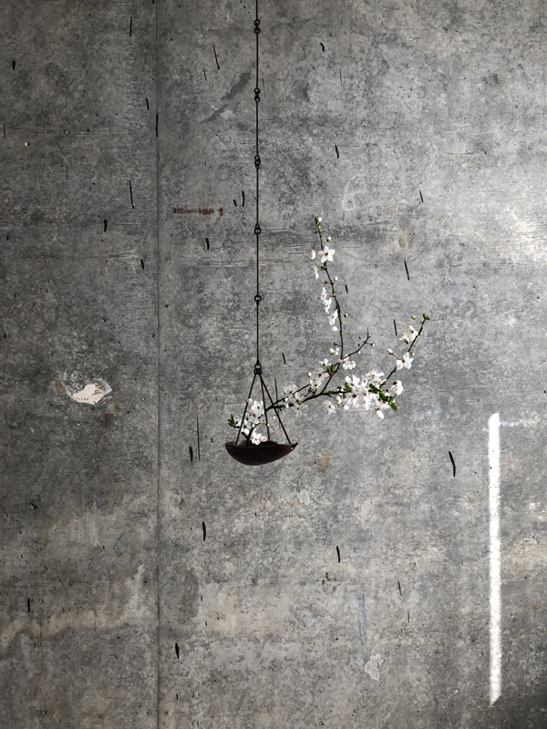 plum blossom, copper bowl, iron chain