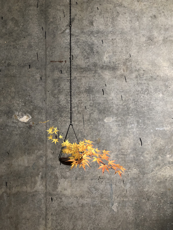 maple, hanging copper bowl and iron chain