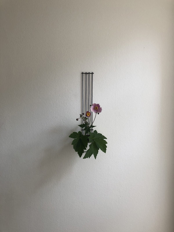 190725, anemone, copper bowl, iron suihatsu