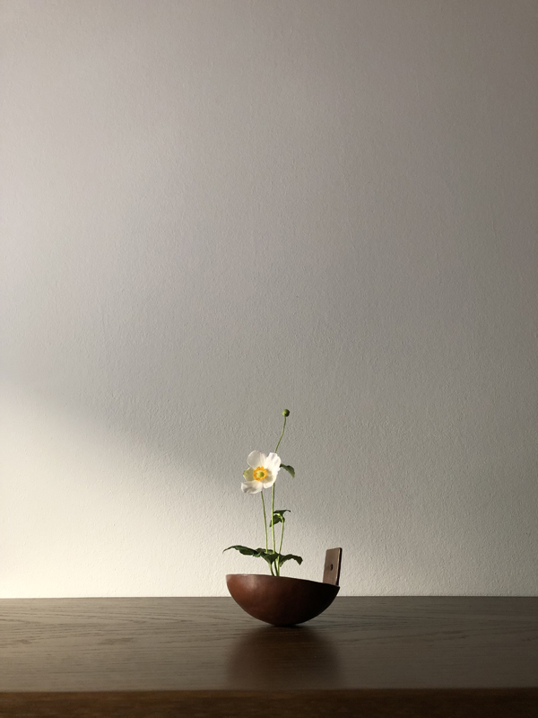 white anemone, wall copper bowl